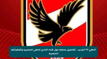 الأهلي TV الجديد.. تفاصيل مذهلة حول قناة النادي الأهلي المصرية وتغطياتها الحصرية